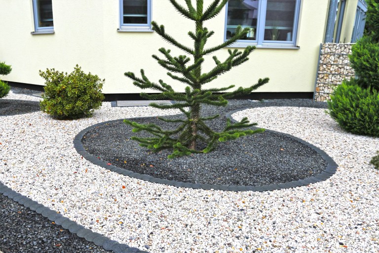 A modern gravel garden bed beside a house facade, with a single specimen conifer and well-spaced shrubs set in bands of white and black stone.