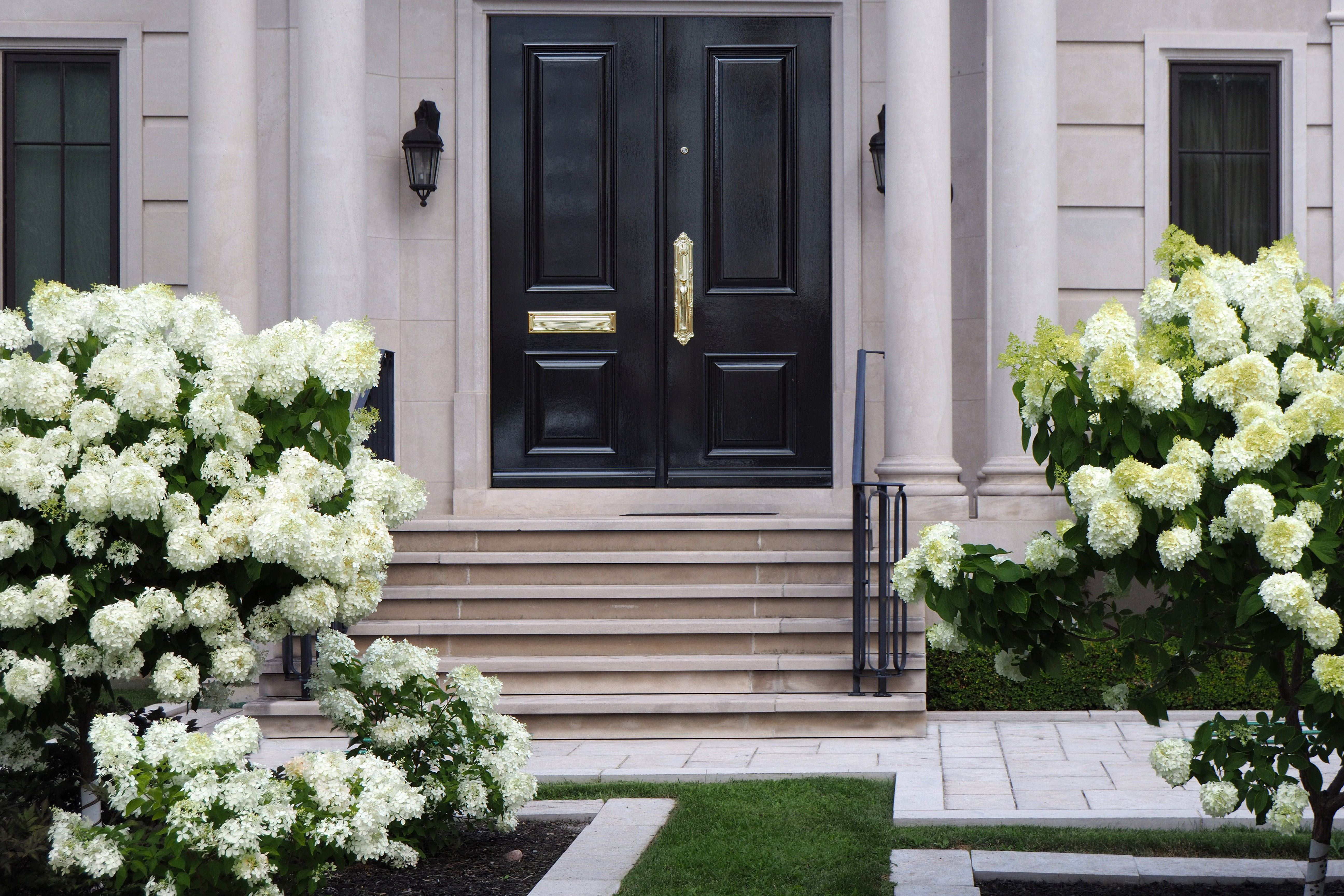 A glossy black front door flanked by columns, brass sconces, and full white hydrangea bushes lining the entry steps.