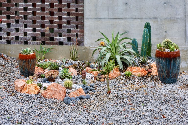 A richly composed xeriscape bed of clustered succulents, agave, and barrel cacti in glazed terra cotta pots set into a deep gravel bed against a textured stone wall.