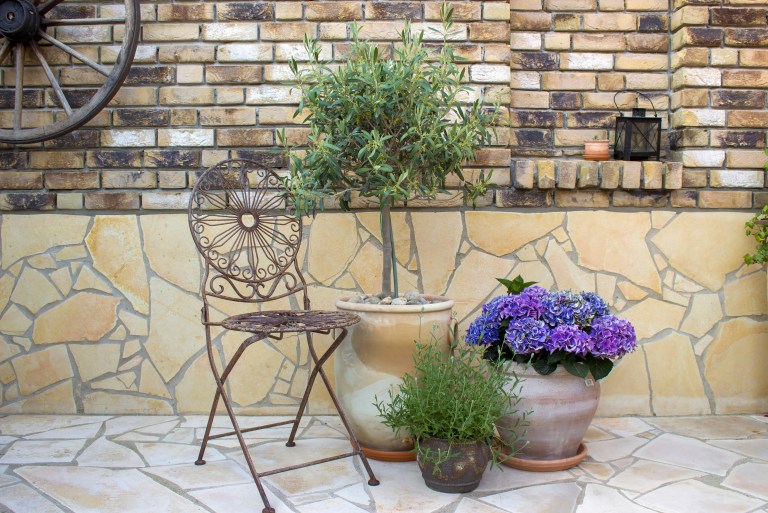 A large terracotta urn holding a sculptural olive tree anchors a stone terrace corner, surrounded by smaller pots of purple hydrangea and herbs against a brick wall.