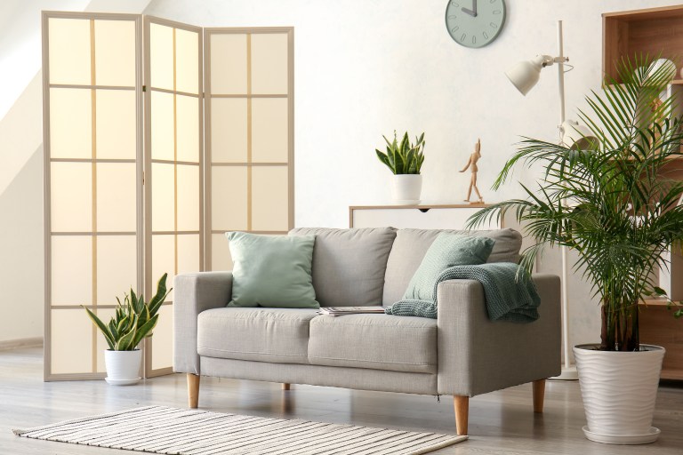 A tall folding wood-and-paper screen stands beside a sofa, splitting the living area into two usable zones while light filters through its panels.
