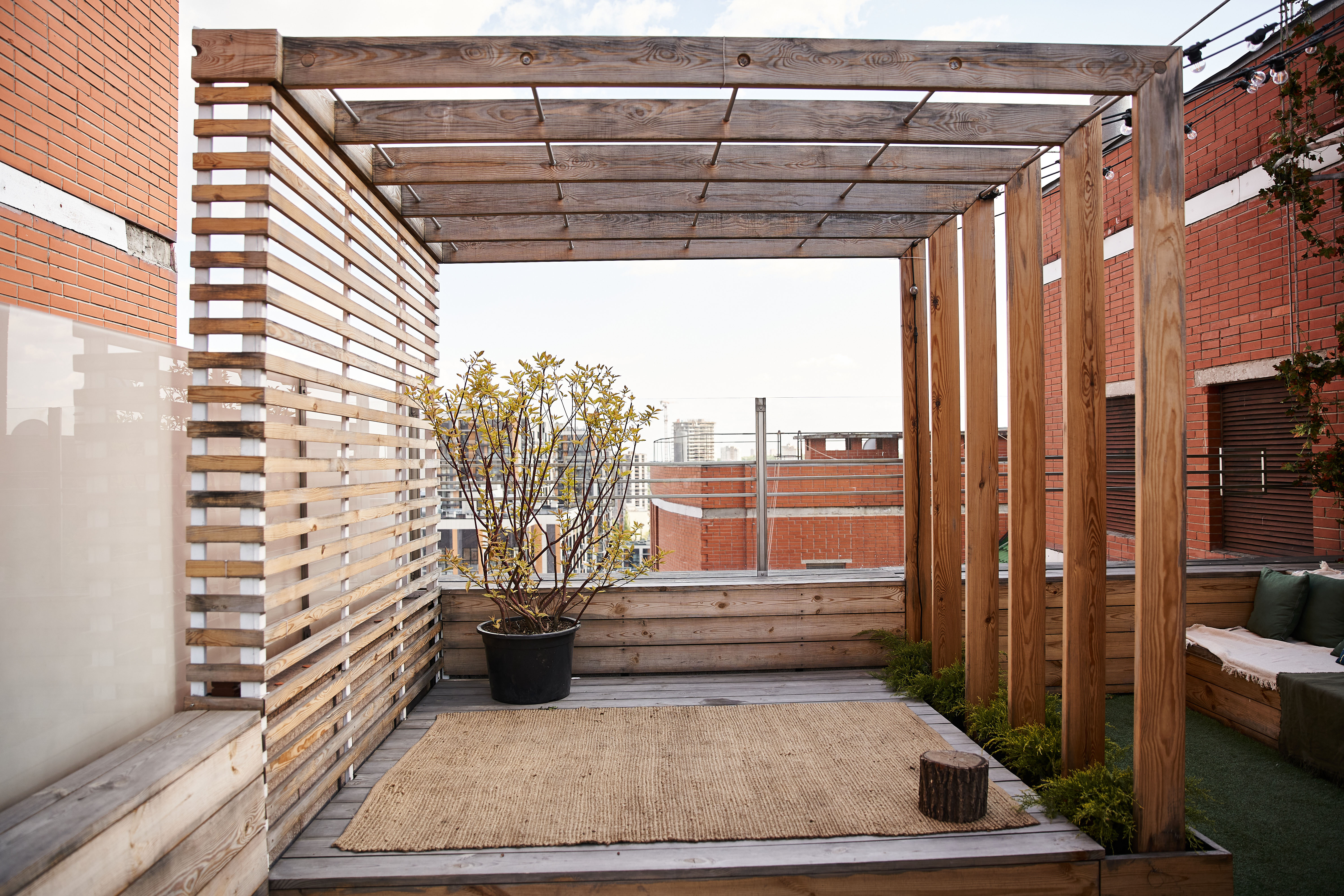 A wooden slat pergola frames a rooftop patio, with a single potted olive tree anchoring the paved seating area beneath it.