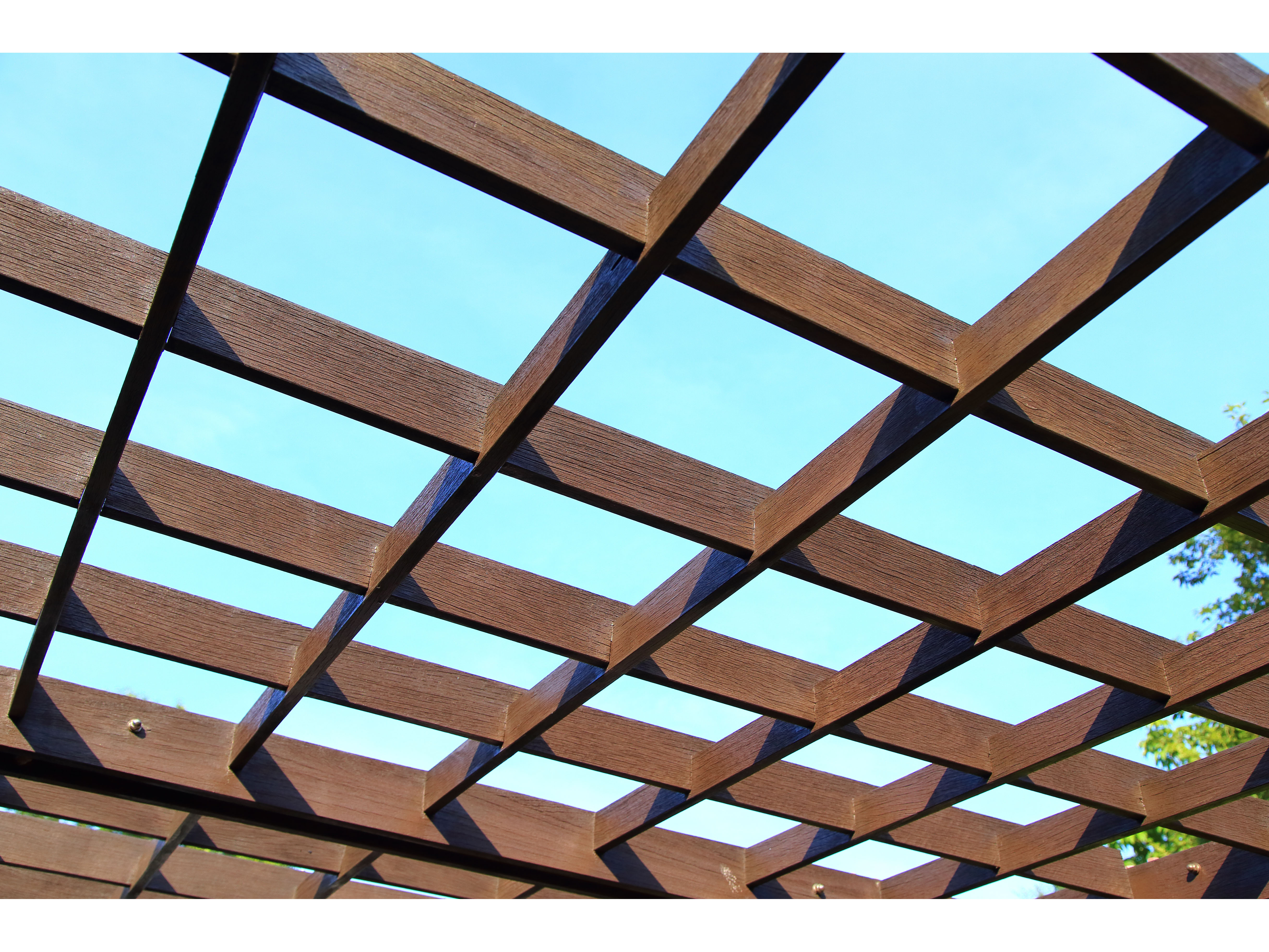 A close view of a wood pergola's crossed beams framing an open sky, warm-toned timber catching the light.
